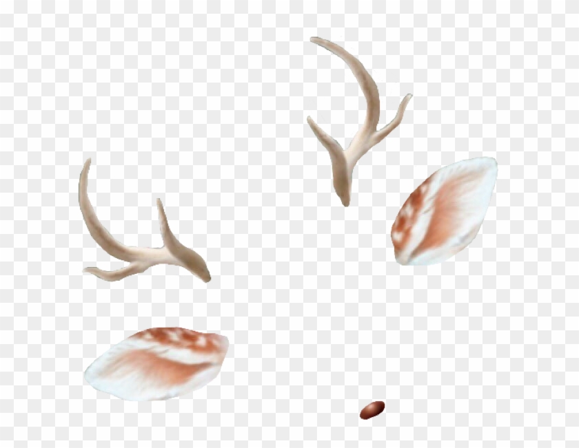 Detail Deer Ears Clipart Nomer 47