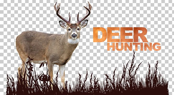 Deer Hunting Png - KibrisPDR