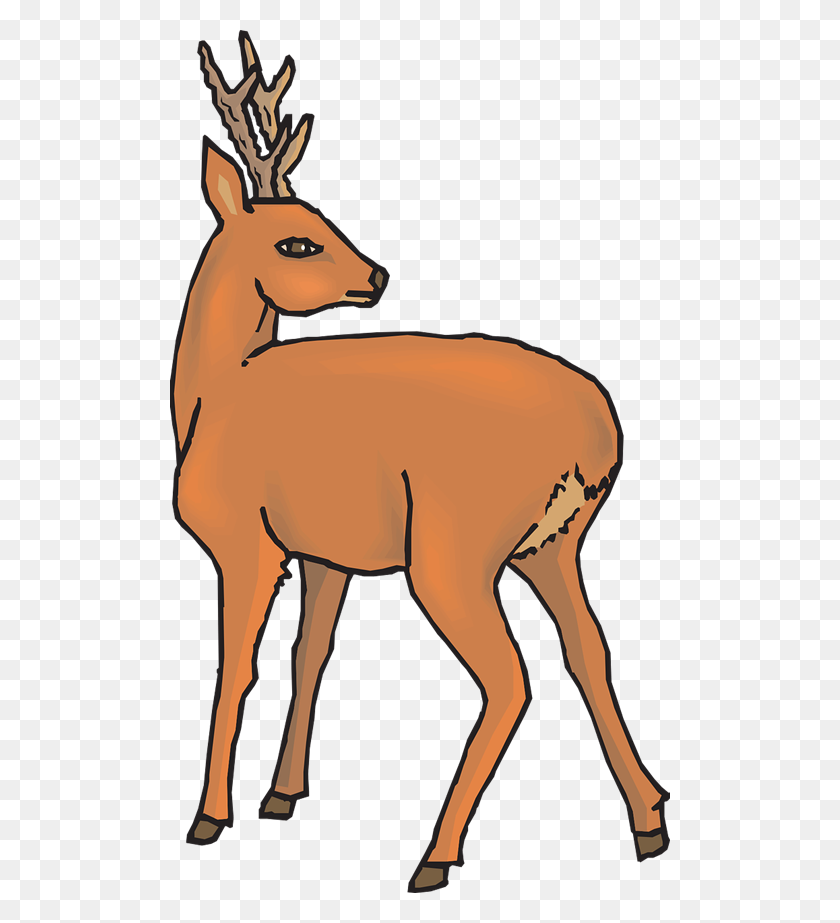 Detail Deer Pictures Clip Art Nomer 24