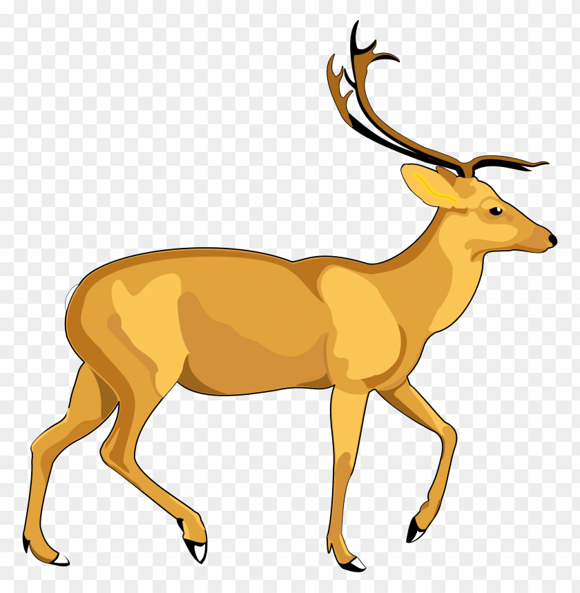 Detail Deer Png Clipart Nomer 28