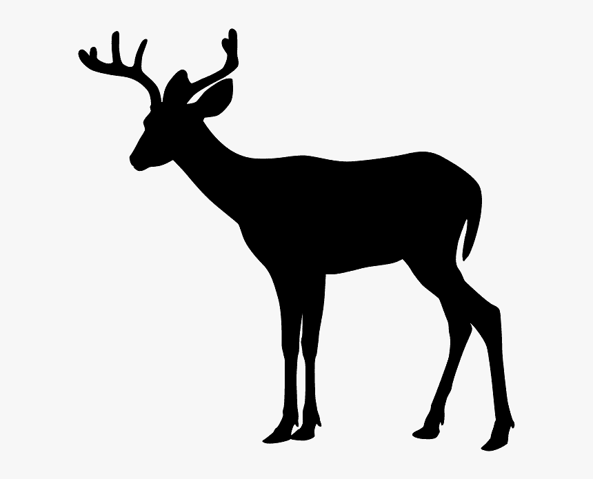 Detail Deer Png Clipart Nomer 32