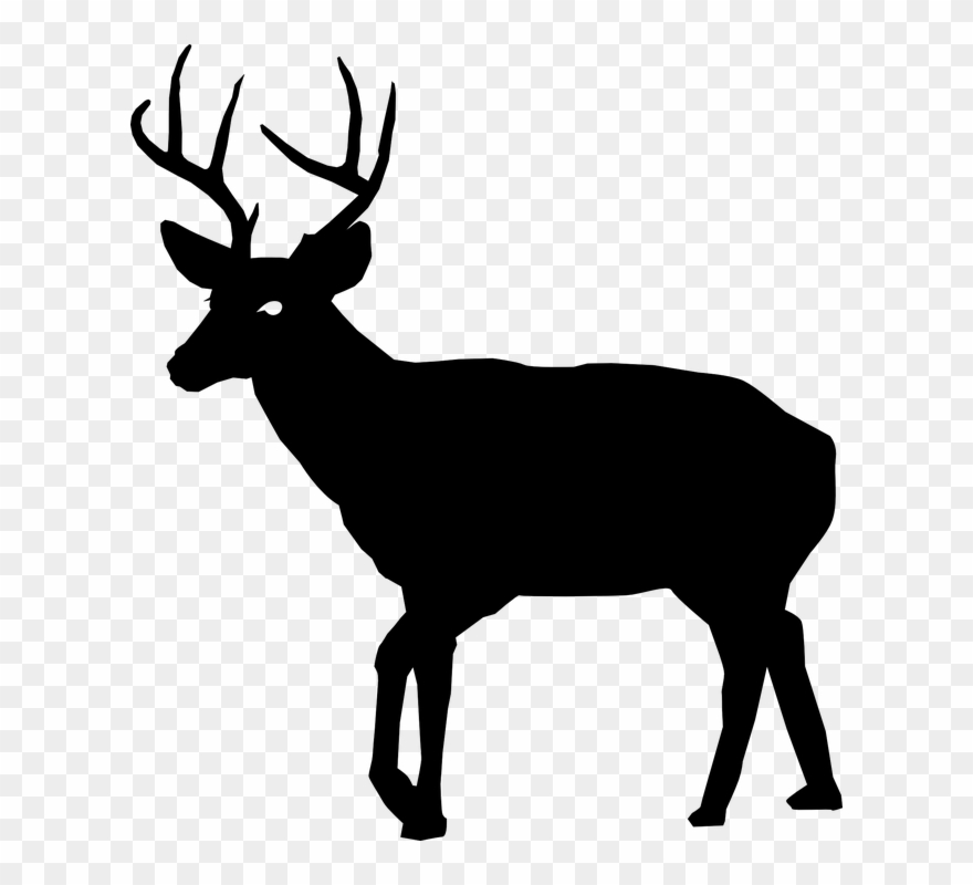 Detail Deer Silhouette Clip Art Nomer 16