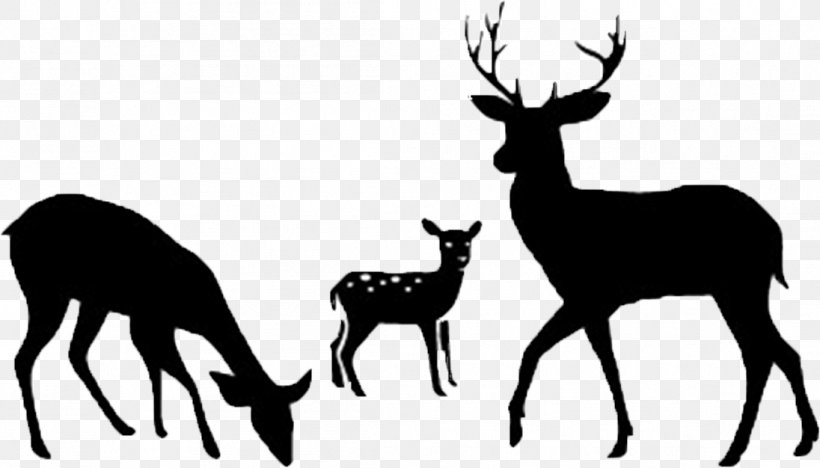 Detail Deer Silhouette Clip Art Nomer 33