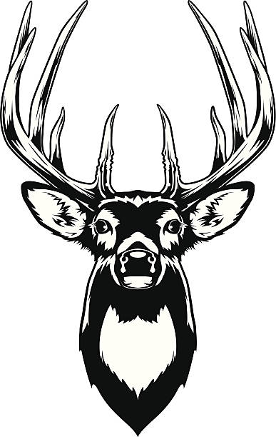 Detail Deer Silhouette Clip Art Nomer 49