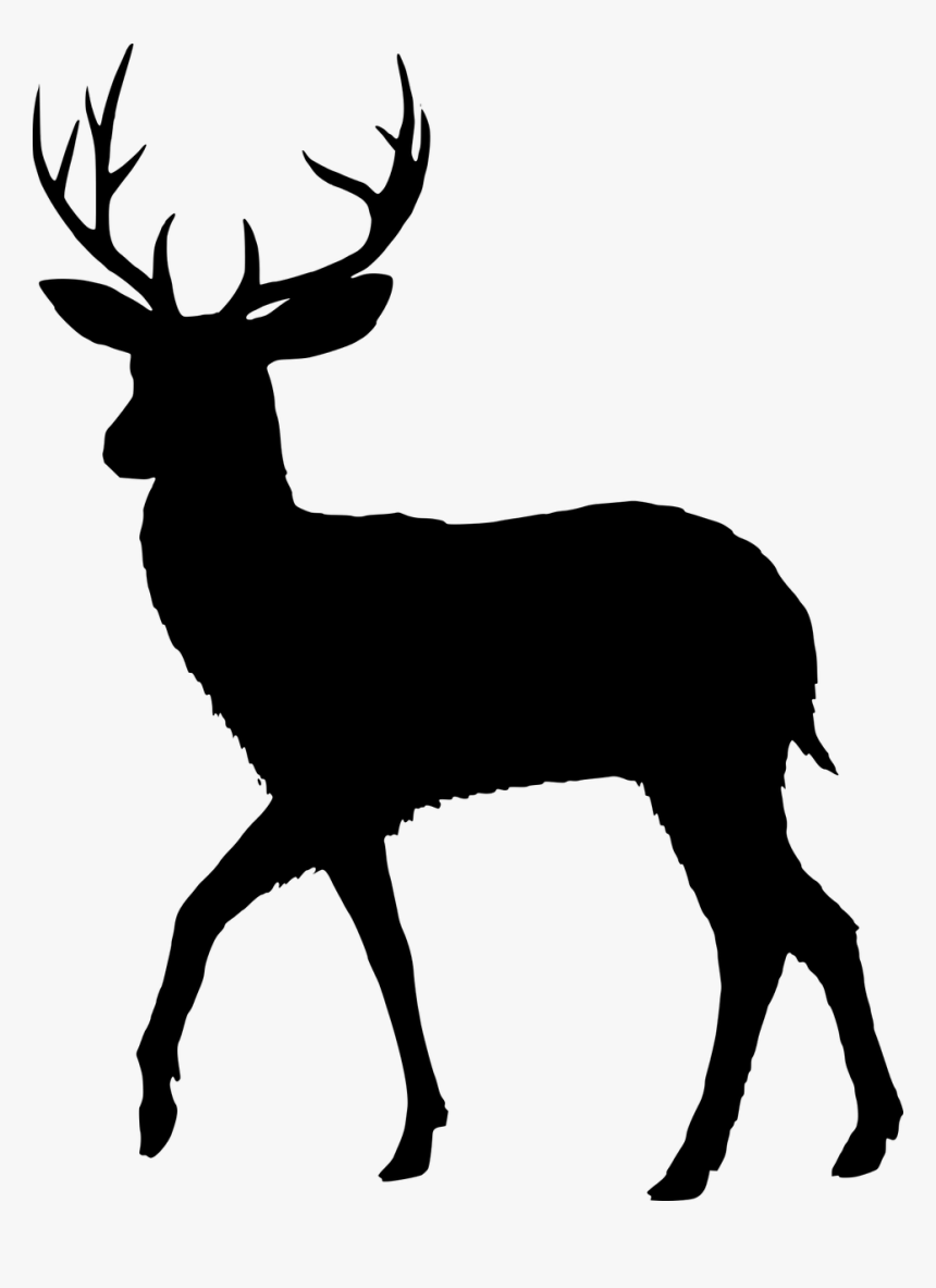 Deer Silhouette Png - KibrisPDR