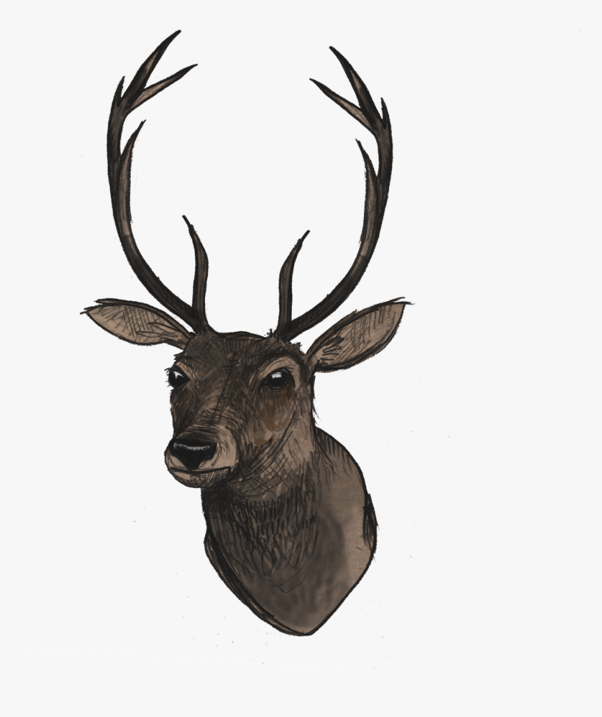 Detail Deer Silhouette Png Nomer 48
