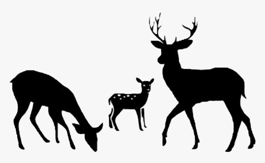 Detail Deer Silhouette Vector Nomer 17