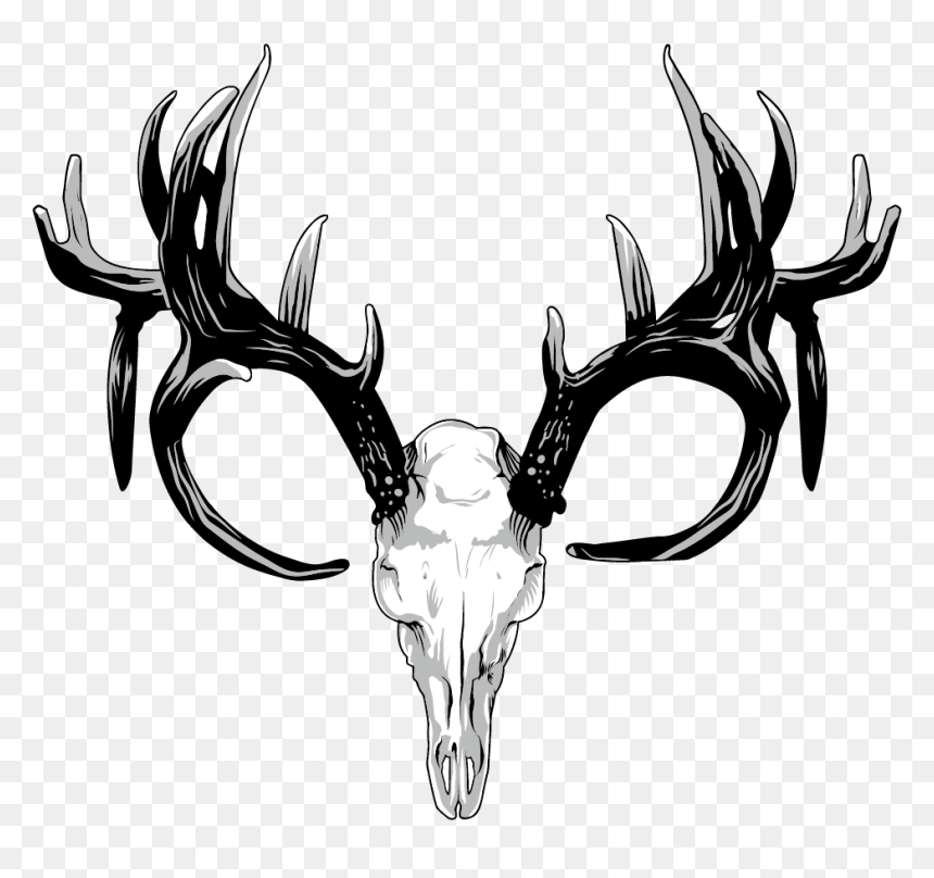 Detail Deer Skull Clip Art Nomer 12