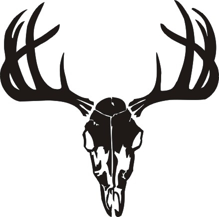 Detail Deer Skull Clip Art Nomer 14