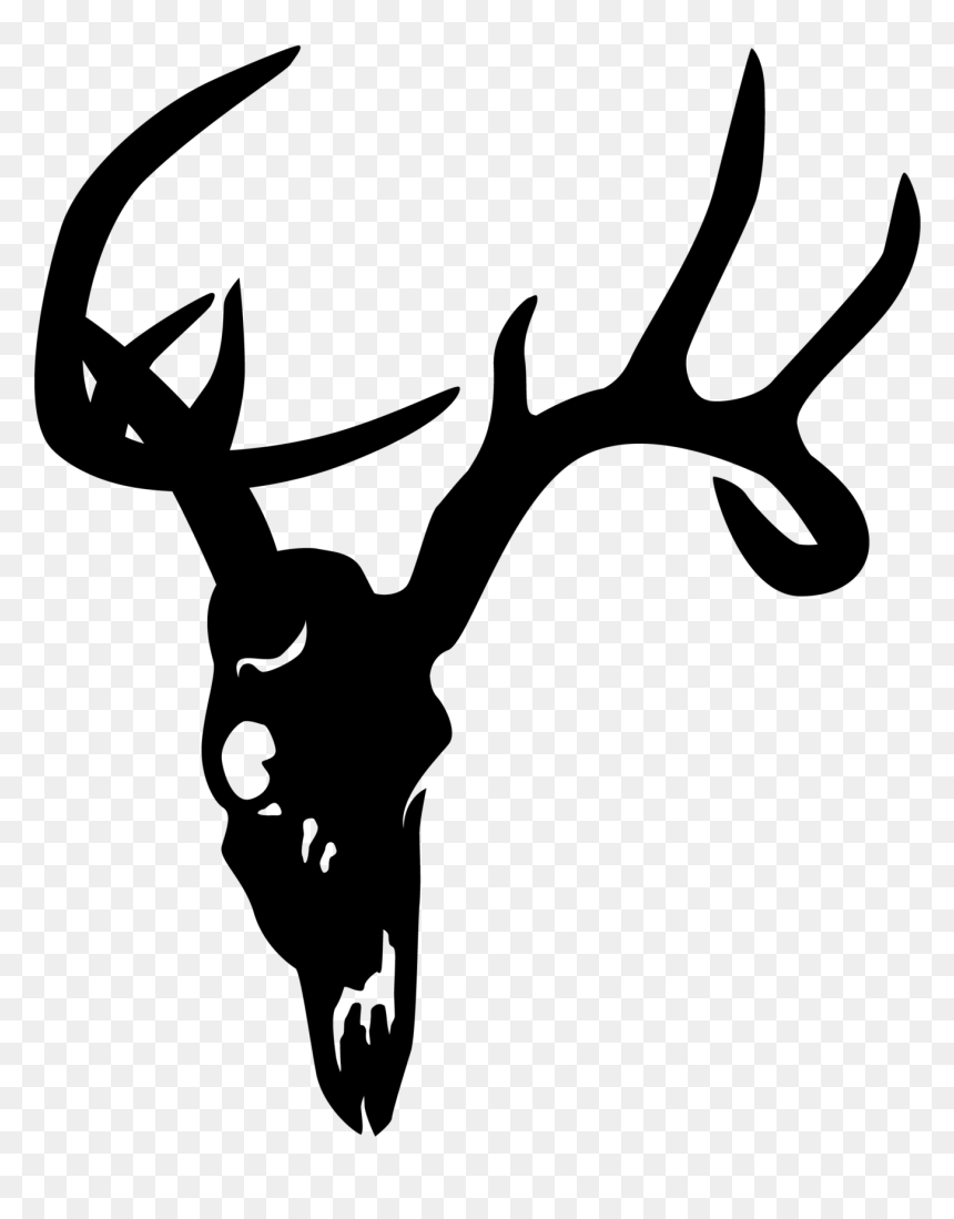 Detail Deer Skull Clip Art Nomer 16