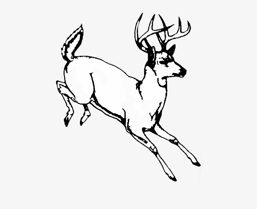 Detail Deer Skull Clip Art Nomer 33
