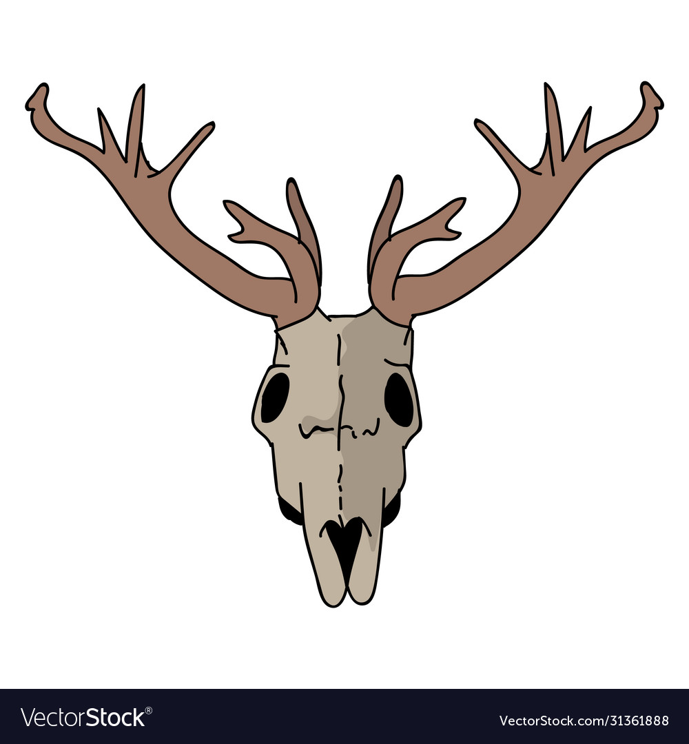 Detail Deer Skull Clip Art Nomer 41