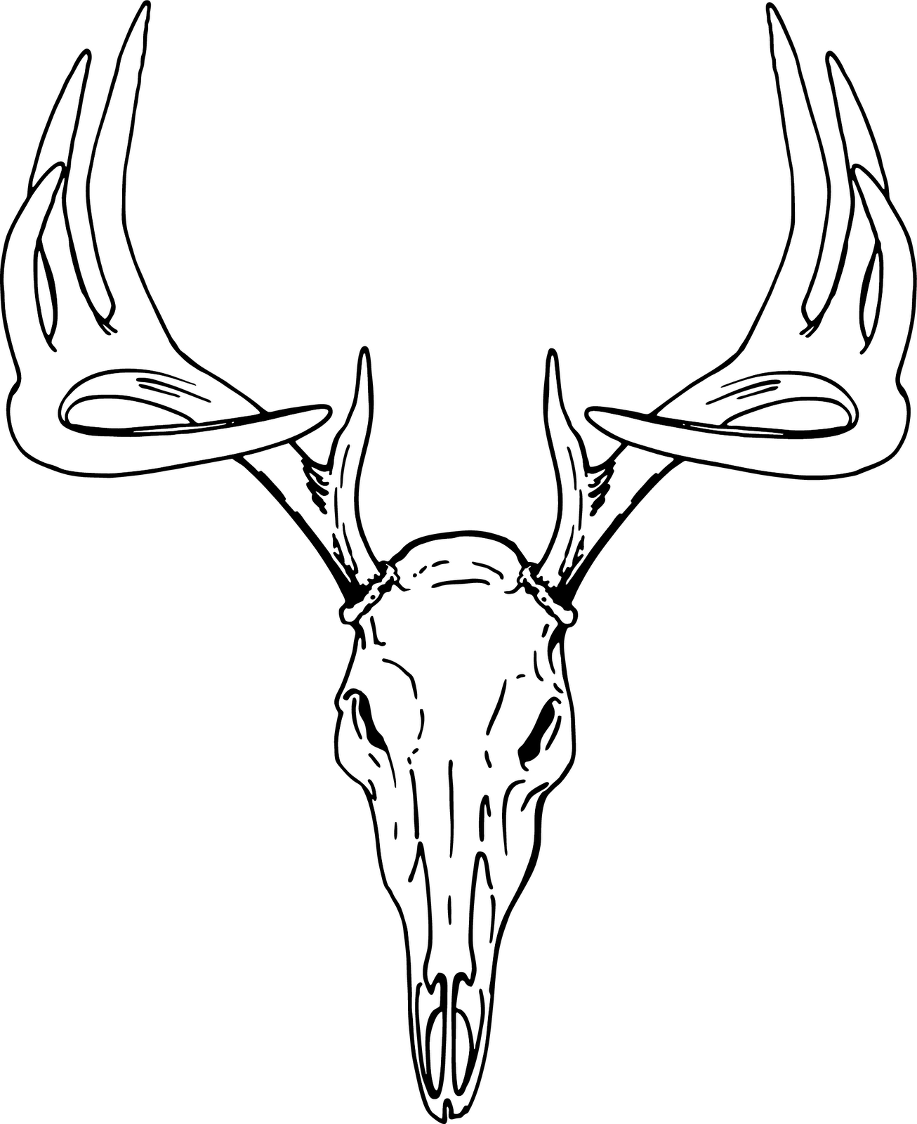 Detail Deer Skull Clipart Black And White Nomer 10