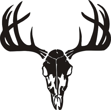 Detail Deer Skull Clipart Black And White Nomer 14