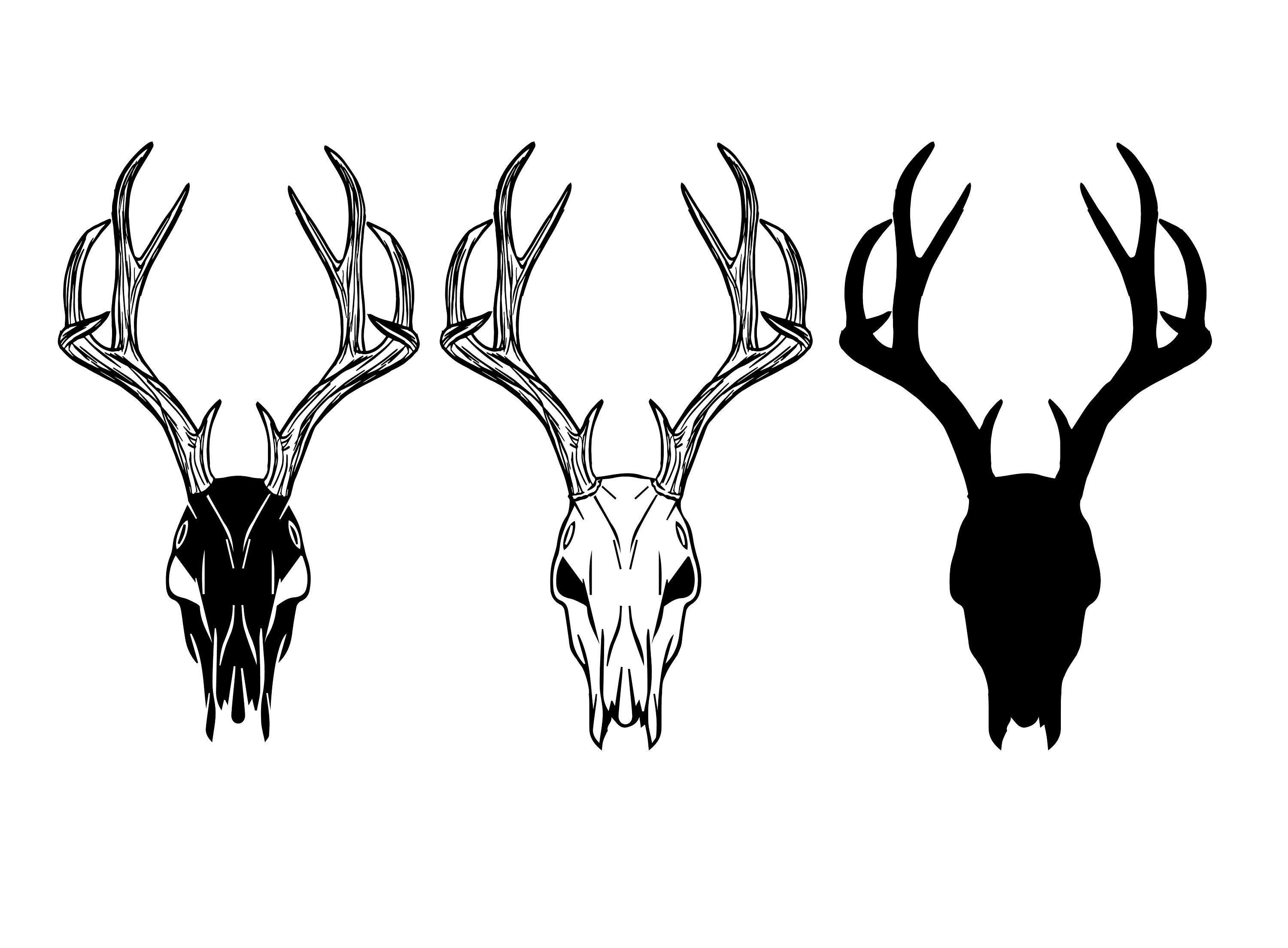 Detail Deer Skull Clipart Black And White Nomer 24