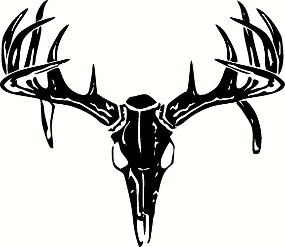 Detail Deer Skull Clipart Black And White Nomer 28