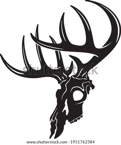 Detail Deer Skull Clipart Black And White Nomer 30