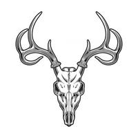 Detail Deer Skull Images Free Nomer 9