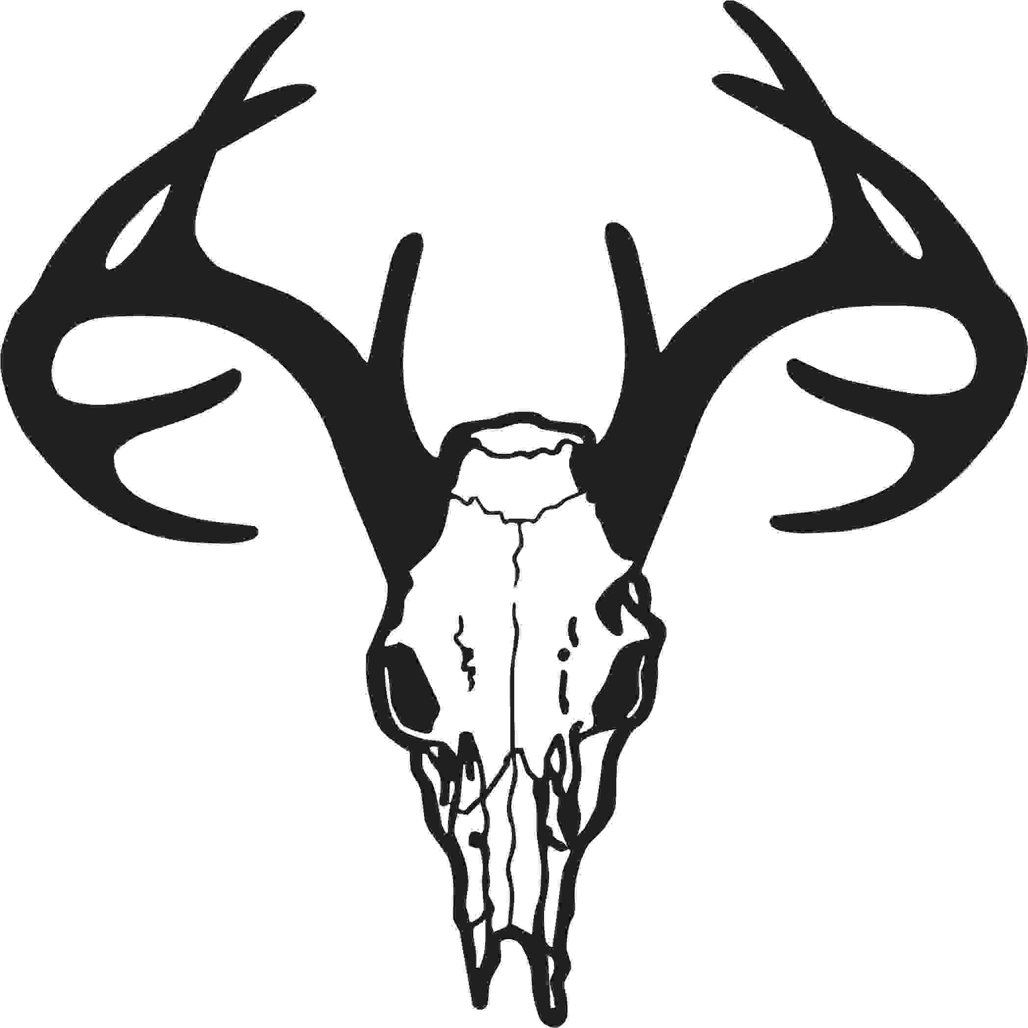 Detail Deer Skull Images Free Nomer 16