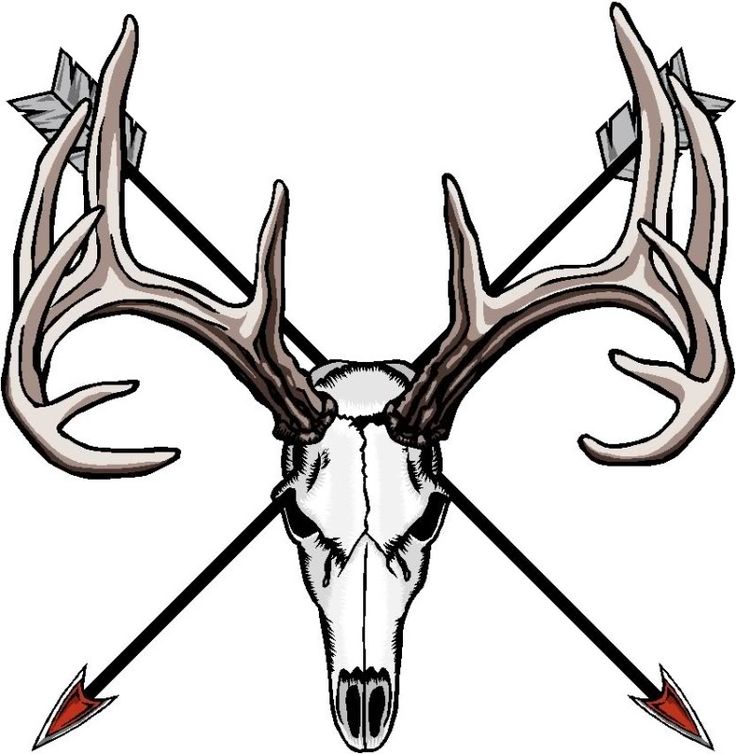 Detail Deer Skull Images Free Nomer 24