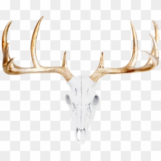 Detail Deer Skull Images Free Nomer 49