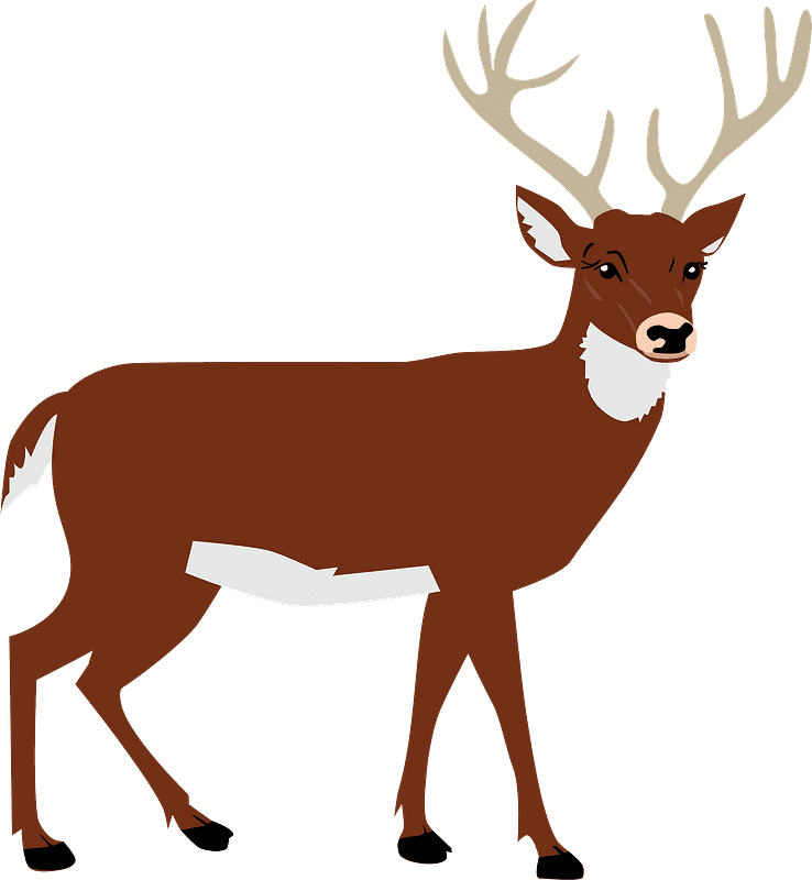 Detail Deer Transparent Background Nomer 15