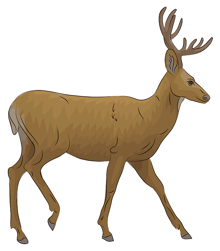 Detail Deer Transparent Background Nomer 18