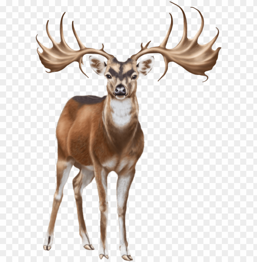 Detail Deer Transparent Background Nomer 22