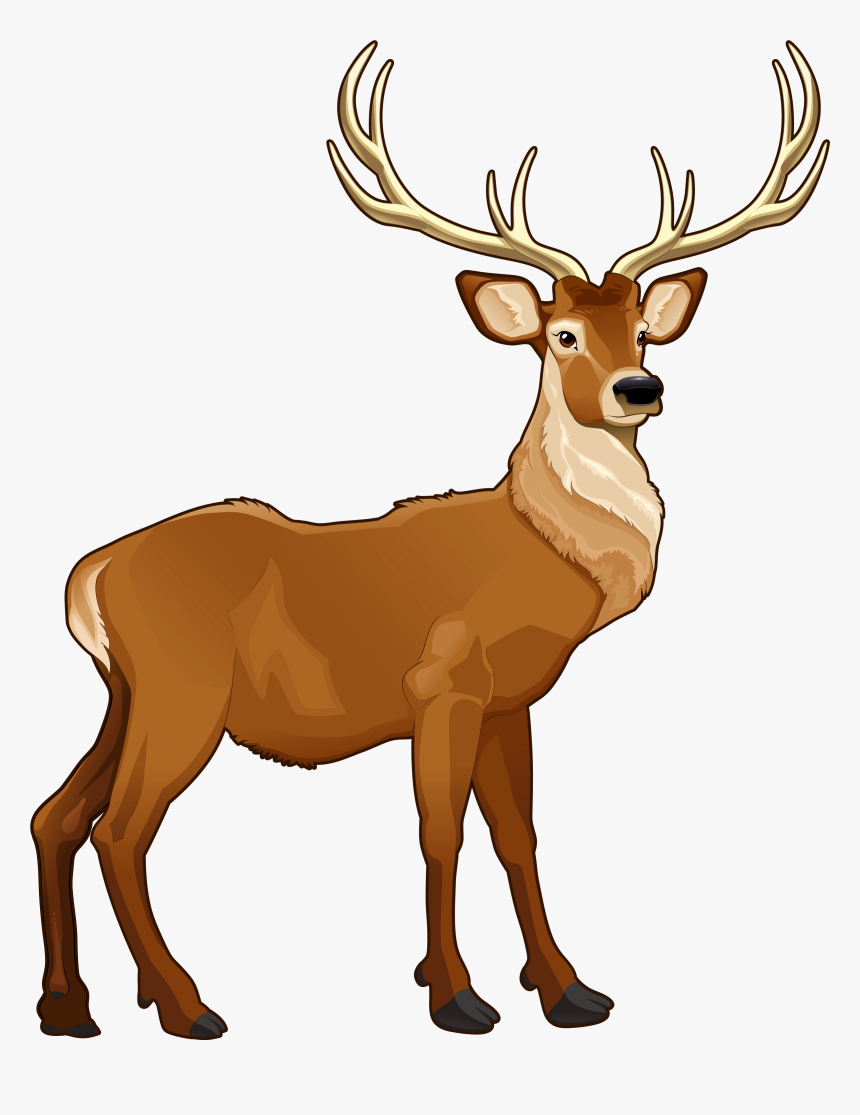 Detail Deer Transparent Background Nomer 37