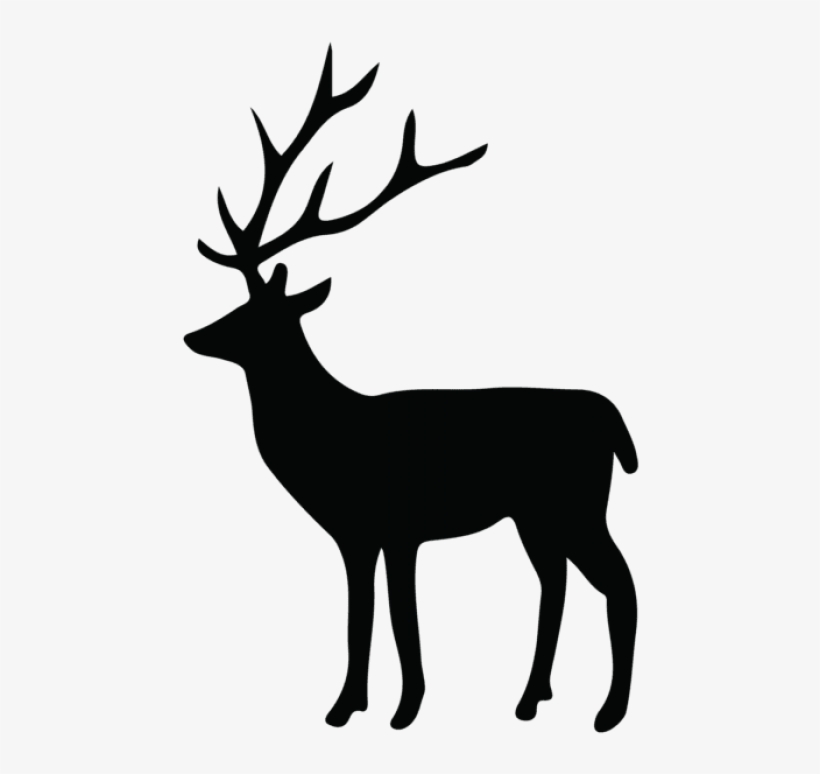 Detail Deer Transparent Background Nomer 42