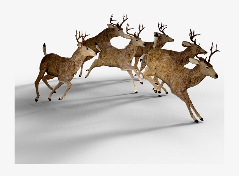 Detail Deer Transparent Background Nomer 54