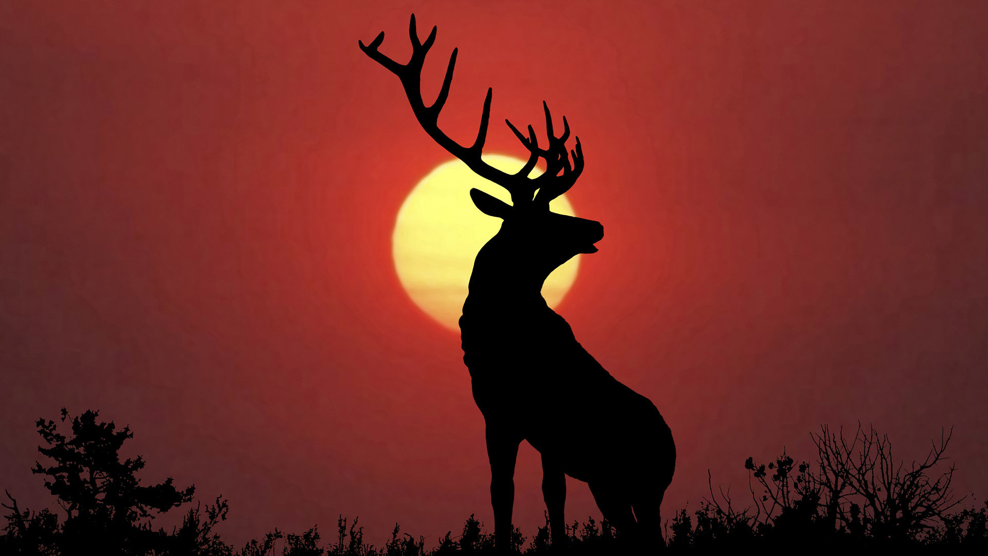 Detail Deer Wallpaper Hd Nomer 25