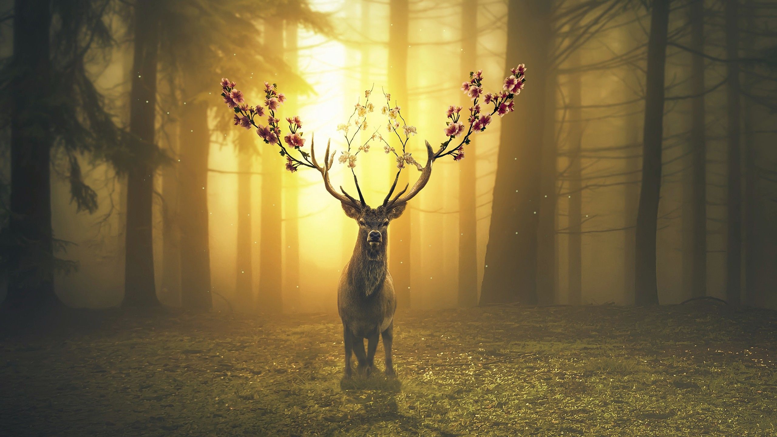 Detail Deer Wallpaper Hd Nomer 10