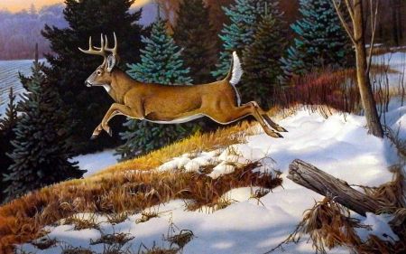 Detail Deer Wallpapers Free Nomer 31