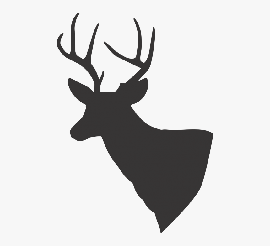 Download Deer With No Background Nomer 35