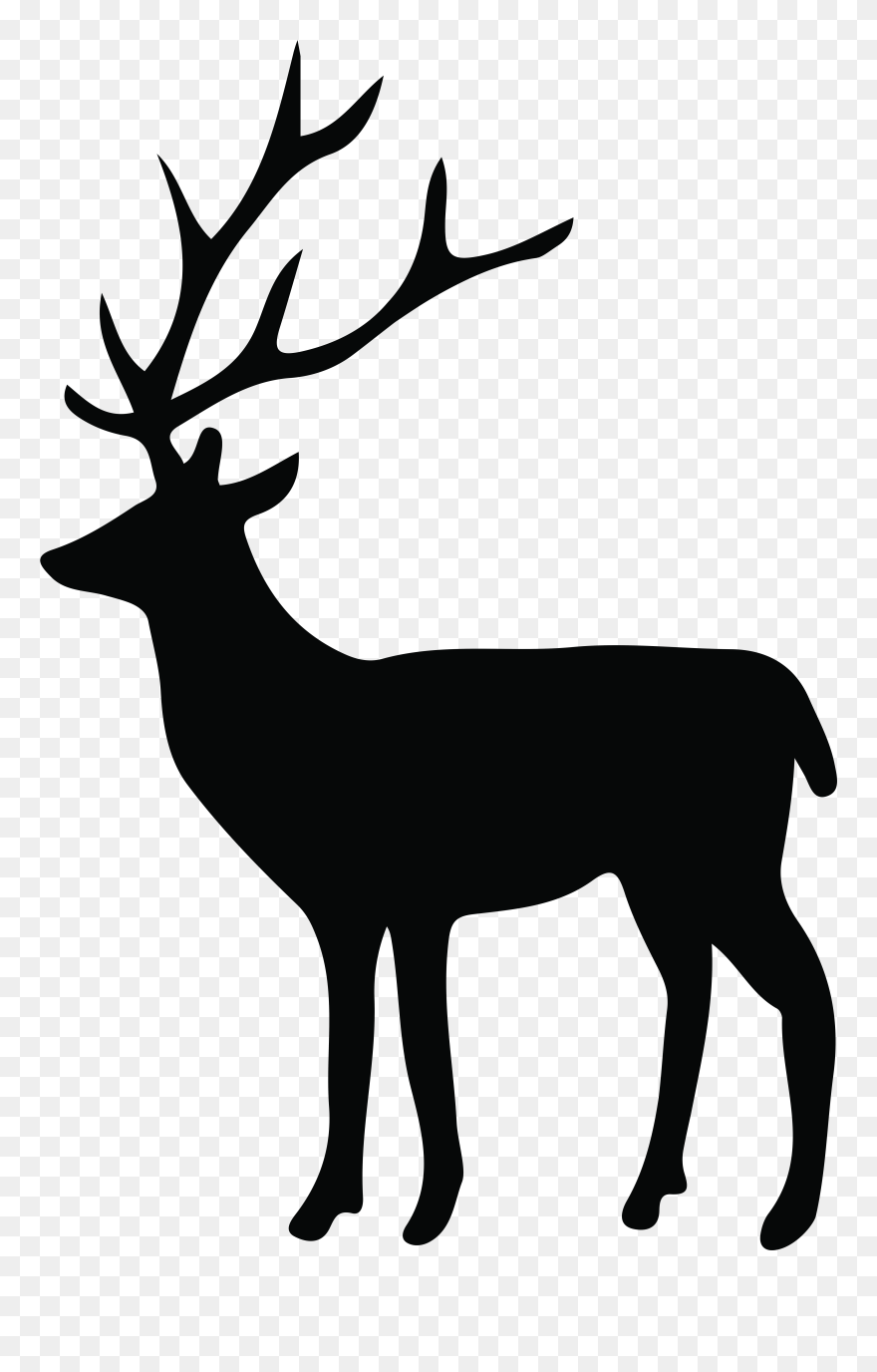 Download Deer With No Background Nomer 39