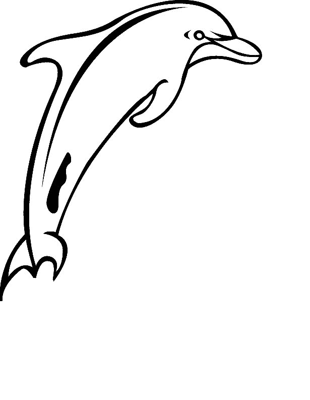 Detail Delfin Malvorlage Nomer 12