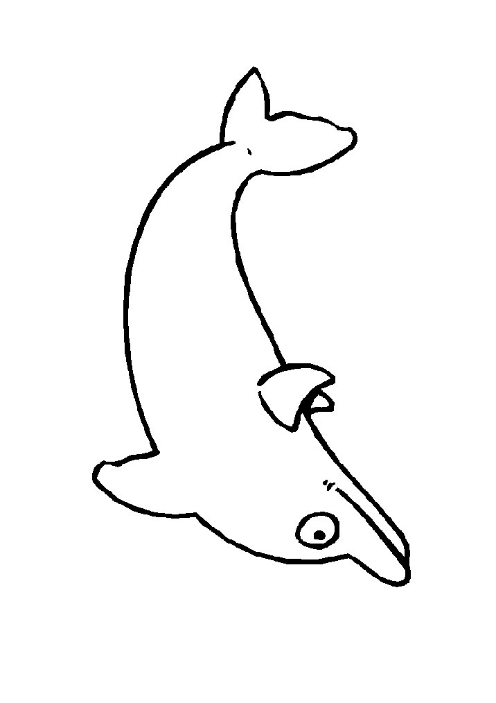 Detail Delfin Malvorlage Nomer 16