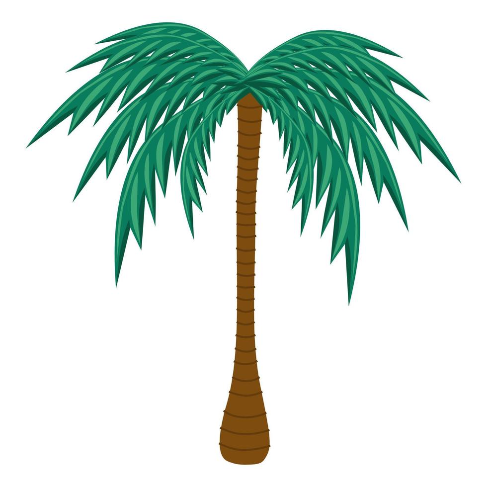 Detail Flat Palm Plant Nomer 11
