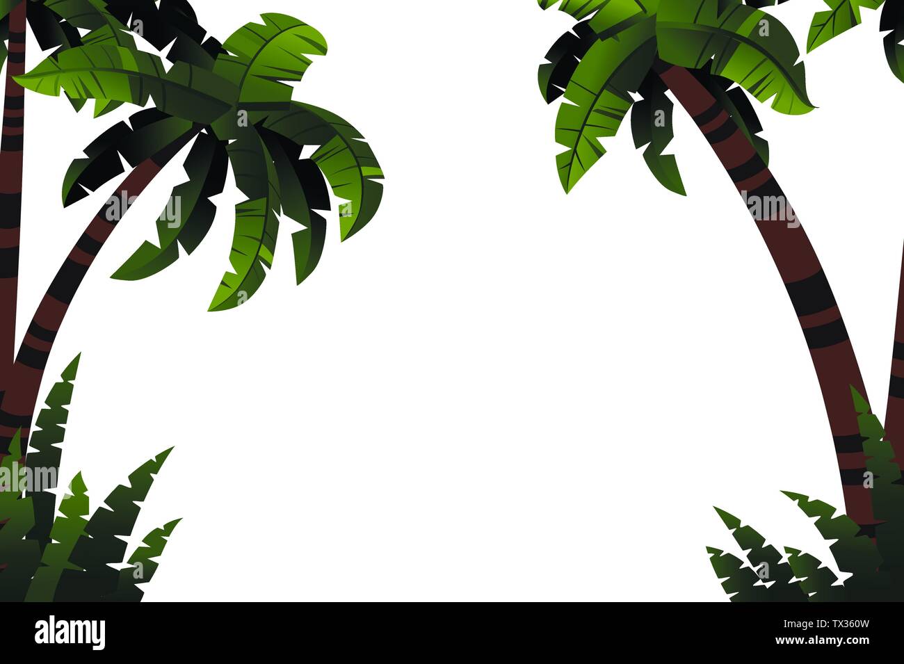 Detail Flat Palm Plant Nomer 15