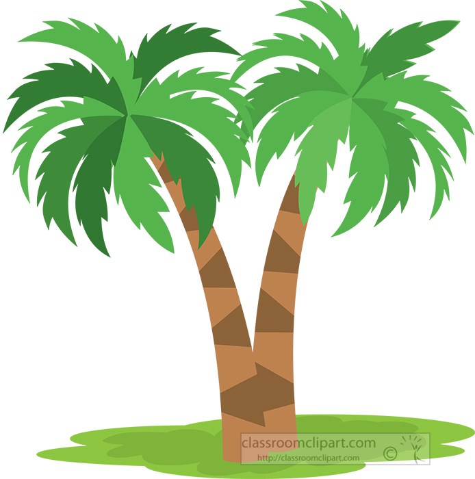 Detail Flat Palm Plant Nomer 22