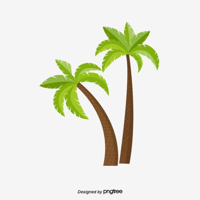 Detail Flat Palm Plant Nomer 9