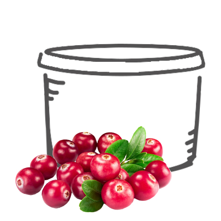 Detail Gebackener Camembert Mit Preiselbeeren Nomer 2