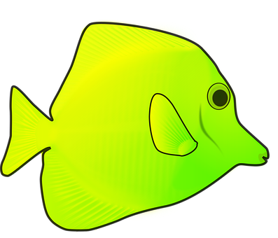 Detail Gelber Fisch Nomer 3