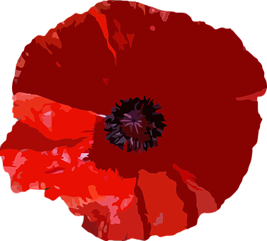 Detail Kleinkind Mohn Nomer 19