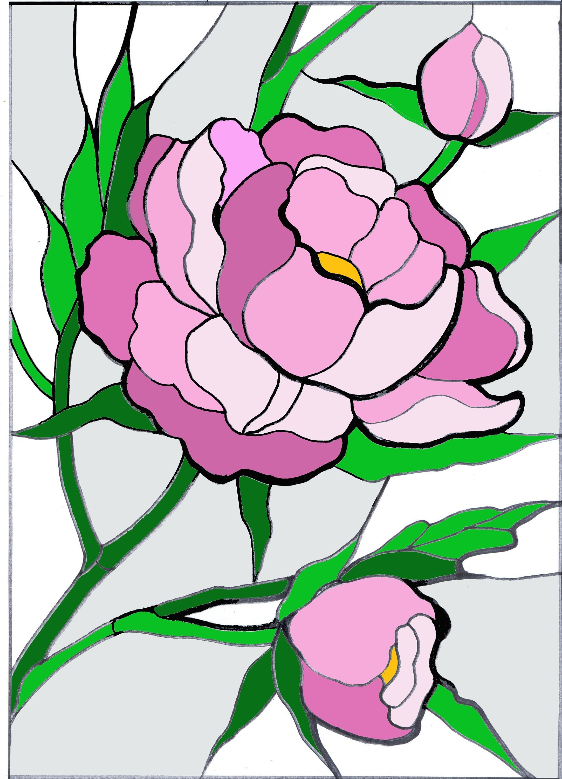 Detail Pfingstrosen Grafik Nomer 23