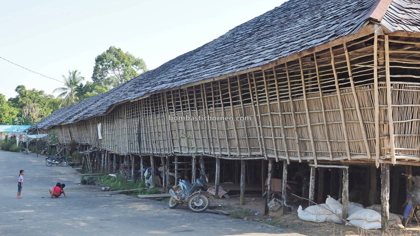 Detail Gambar Rumah Panjang Kalimantan Barat Nomer 41