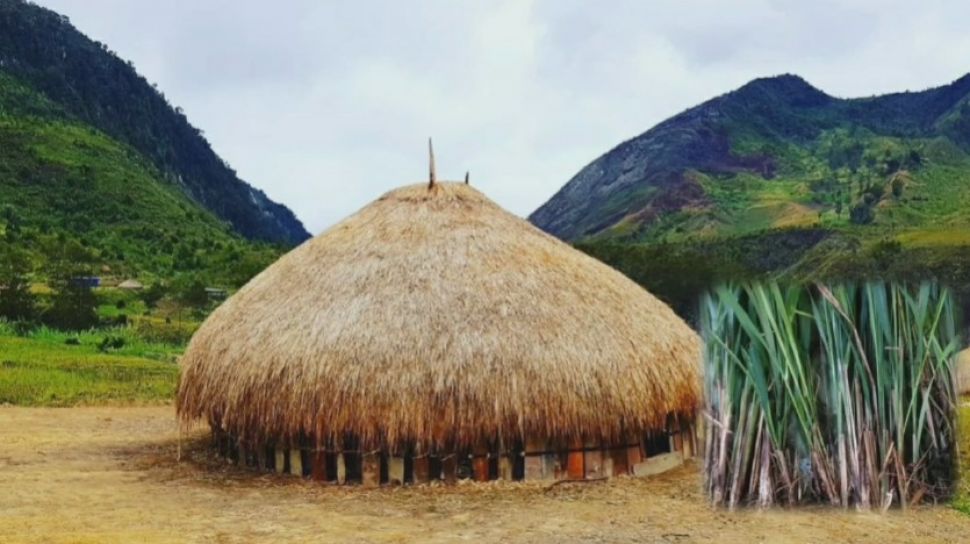 Detail Gambar Rumah Papua Nomer 24