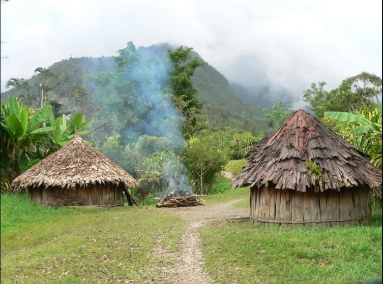 Detail Gambar Rumah Papua Nomer 29