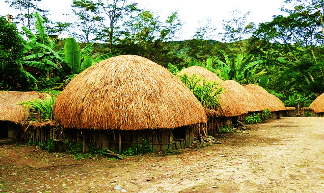 Detail Gambar Rumah Papua Nomer 42